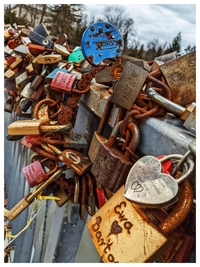 Many locked padlocks