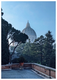 Trees in the Vaticatn